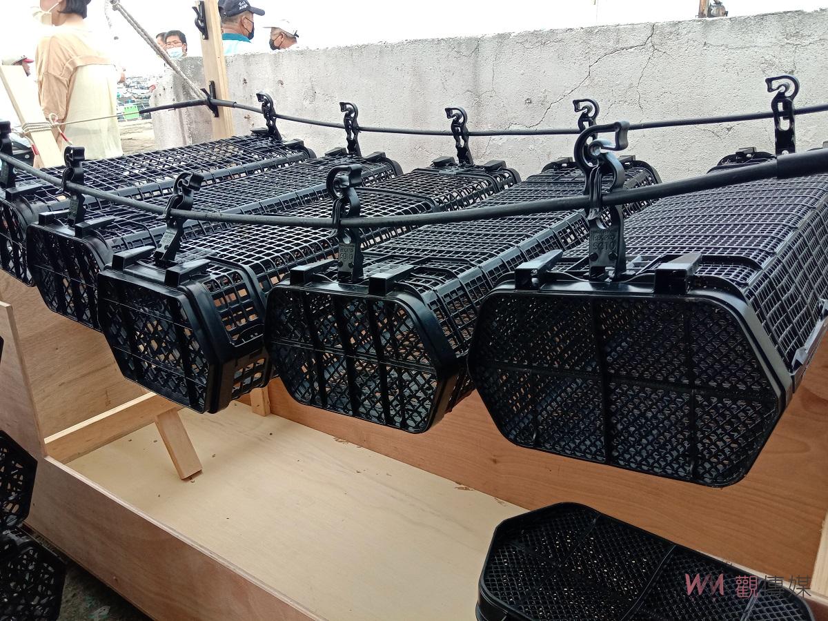 影／海口新經濟　改變過去蚵串養殖　啟動台灣單體牡蠣養殖元年 - https://www.watchmedia01.com