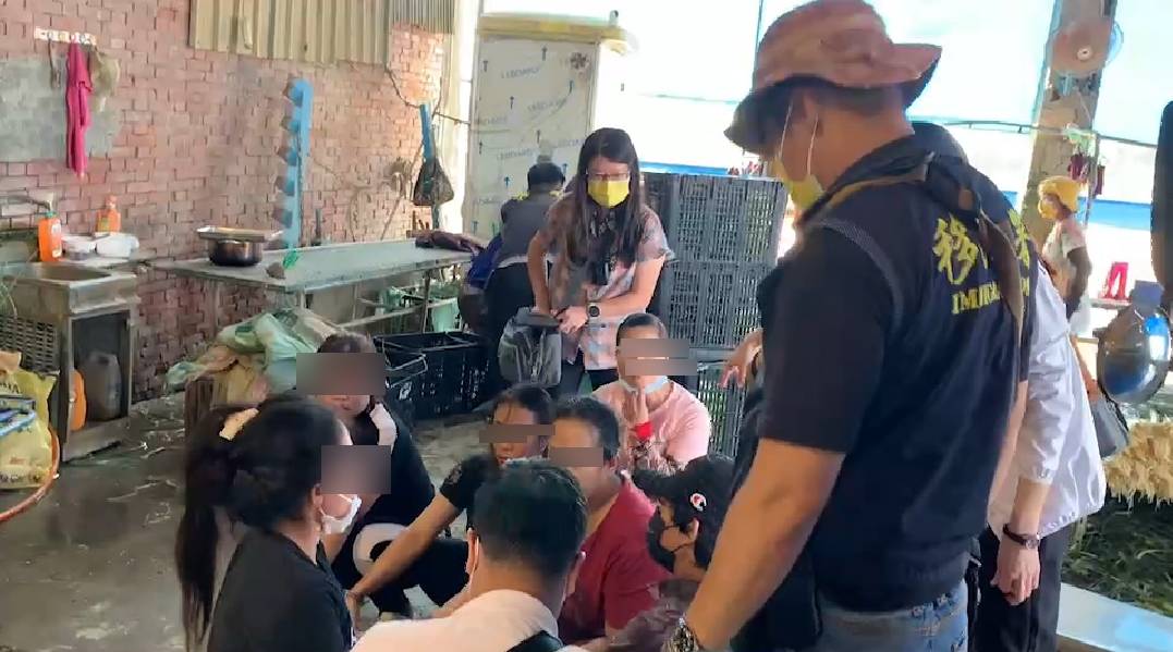 影／捕「蜂」大作戰！移民署偕警組捕蜂大隊查獲非法外人45名 - https://www.watchmedia01.com