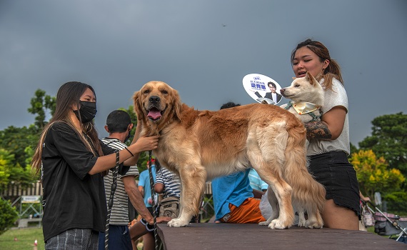 屏東毛起來玩　河濱公園寵物趣味競賽熱鬧登場 - https://www.watchmedia01.com
