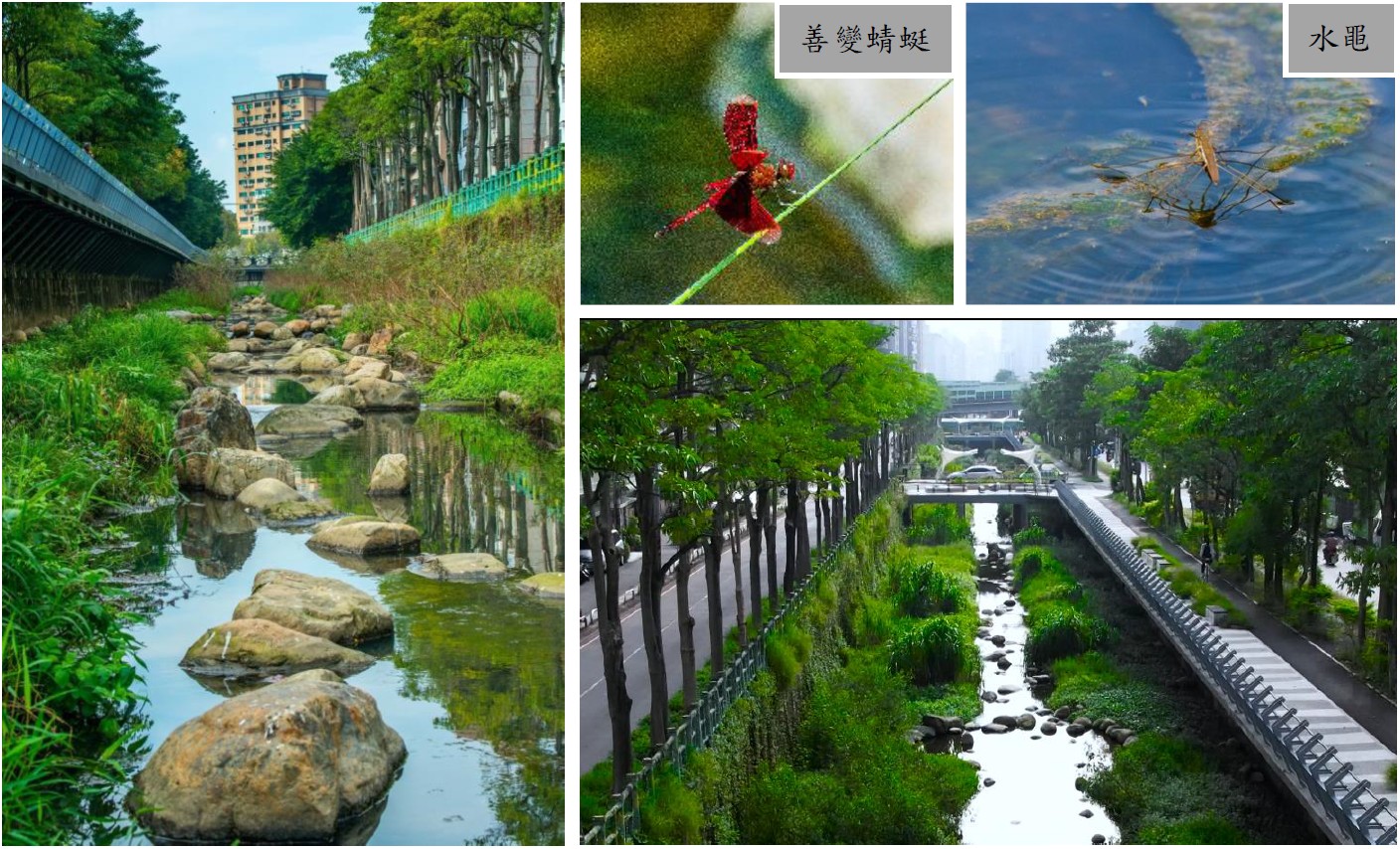 水利局兩工程榮獲「新北市政府公共工程優質獎」 - https://www.watchmedia01.com