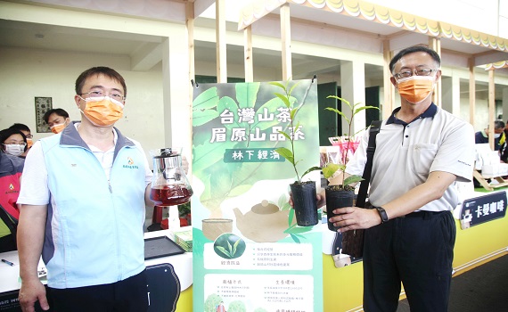 林下經濟新品項-台灣原生山茶眉原山品系 首度公開讓中部民眾品嘗 - https://www.watchmedia01.com