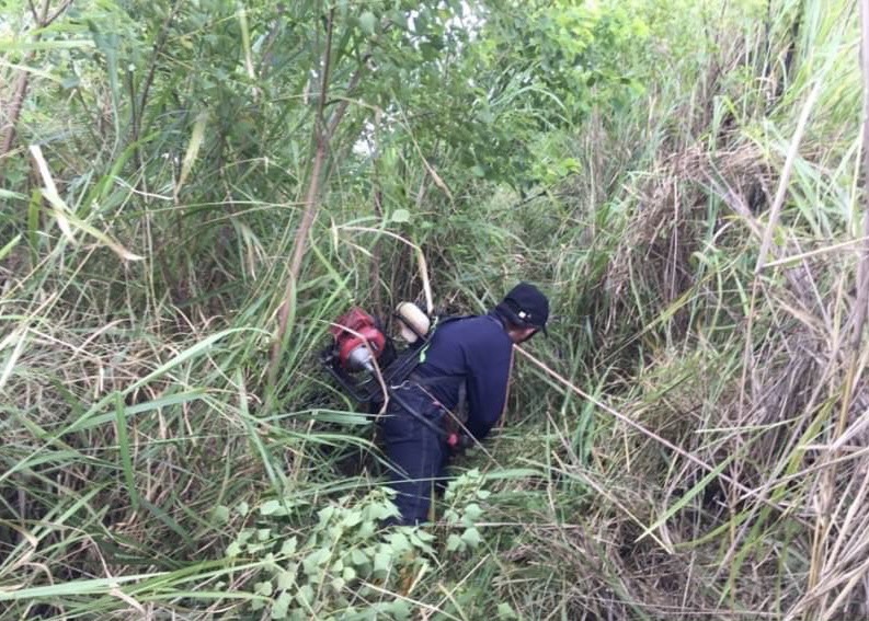 中市府簽訂「防火林帶設置合作備忘錄」 提升山坡地防火安全 - https://www.watchmedia01.com