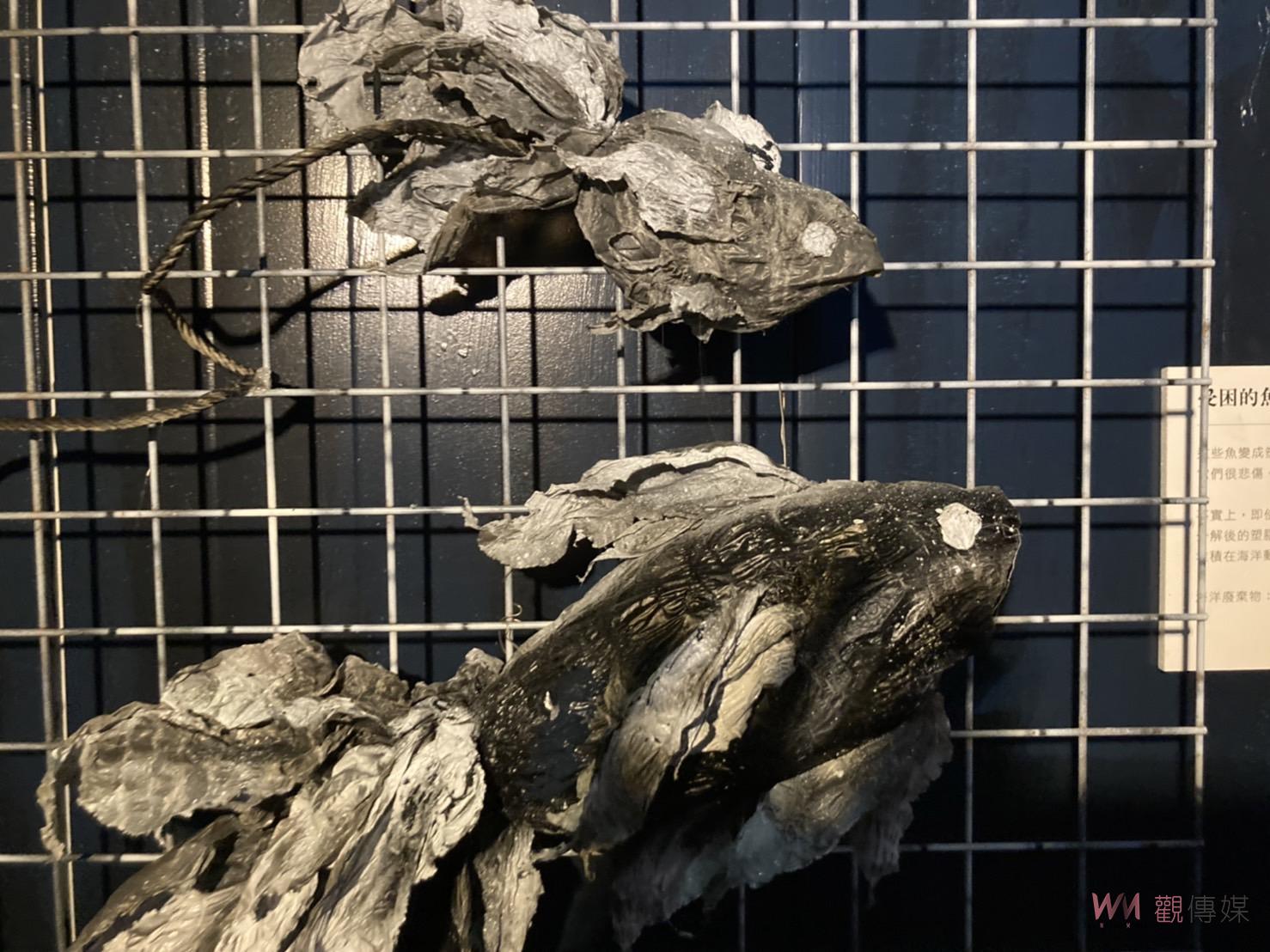 影／藝術治療！不安的海洋-海廢創作藝術展　目睹海洋生態的浩劫 - https://www.watchmedia01.com