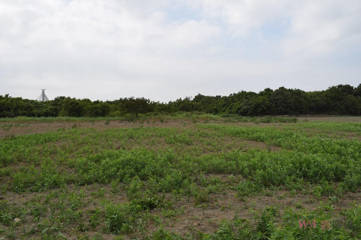 影／雲林農業產業創新加值園區　創造農業加值產業、高品質農業生技 - https://www.watchmedia01.com