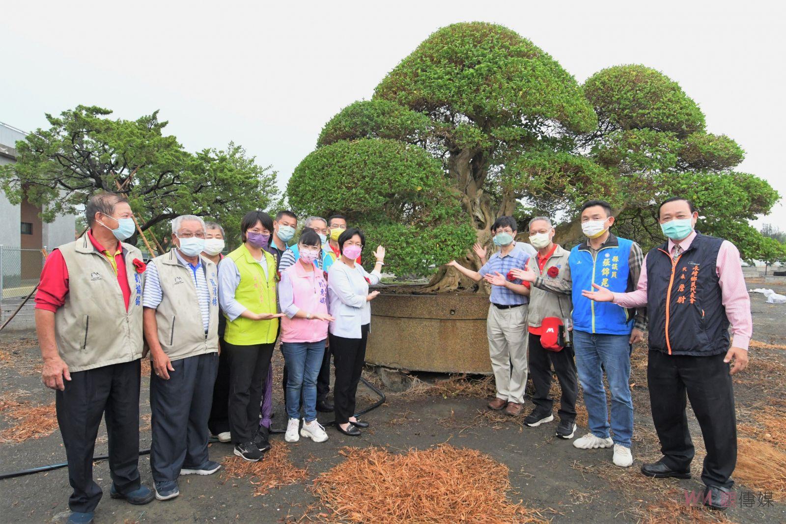 影／身價超過600萬的壽娘子公開亮相　新景點在全國最大苗木之鄉 - https://www.watchmedia01.com
