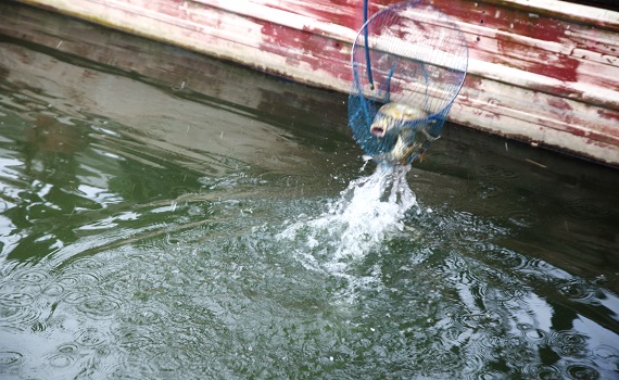埔里鯉魚潭首辦外來魚種釣魚比賽 邀請江湖釣客決戰鯉魚潭 - https://www.watchmedia01.com