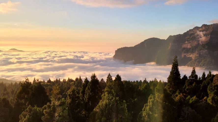 雲瀑正當時 上阿里山賞遊雲海 - https://www.watchmedia01.com