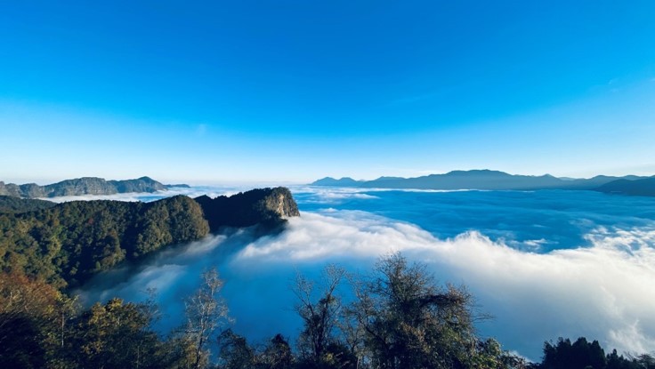 雲瀑正當時 上阿里山賞遊雲海 - https://www.watchmedia01.com
