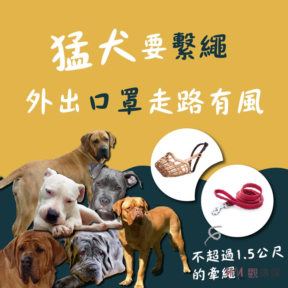 台南獒犬咬傷人 飼主恐面臨刑責 - https://www.watchmedia01.com
