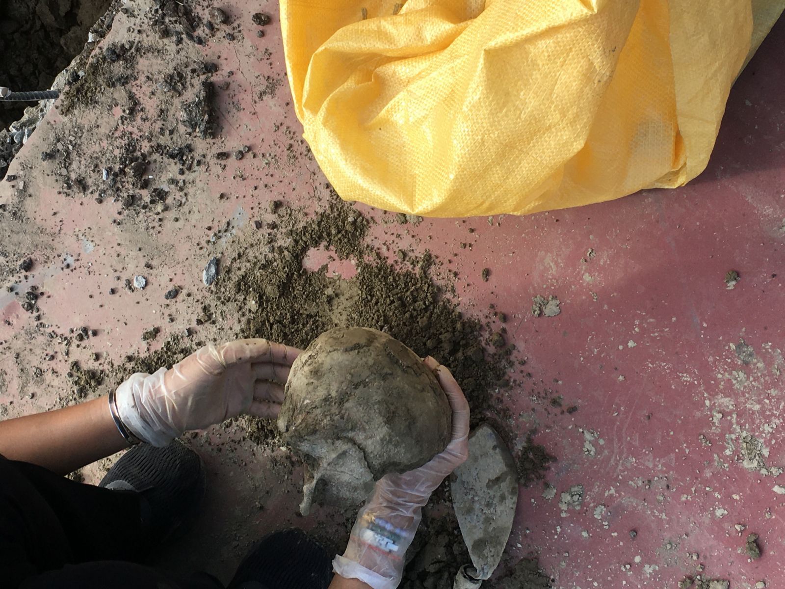 驚悚！國中校園進行工程竟然挖到一顆白色頭骨　恐埋藏逾27年 - https://www.watchmedia01.com