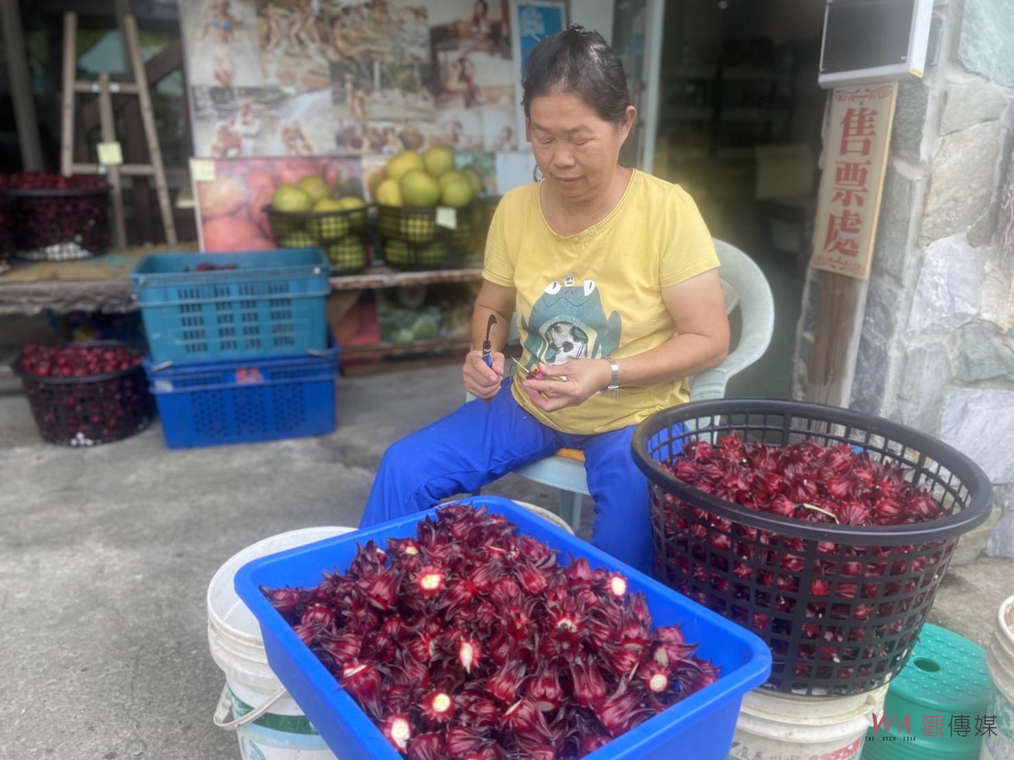 合夯／秋冬假日何處去？！《龜丹溫泉》抗日史蹟結構文化觀光走讀樂活行程 - https://www.watchmedia01.com