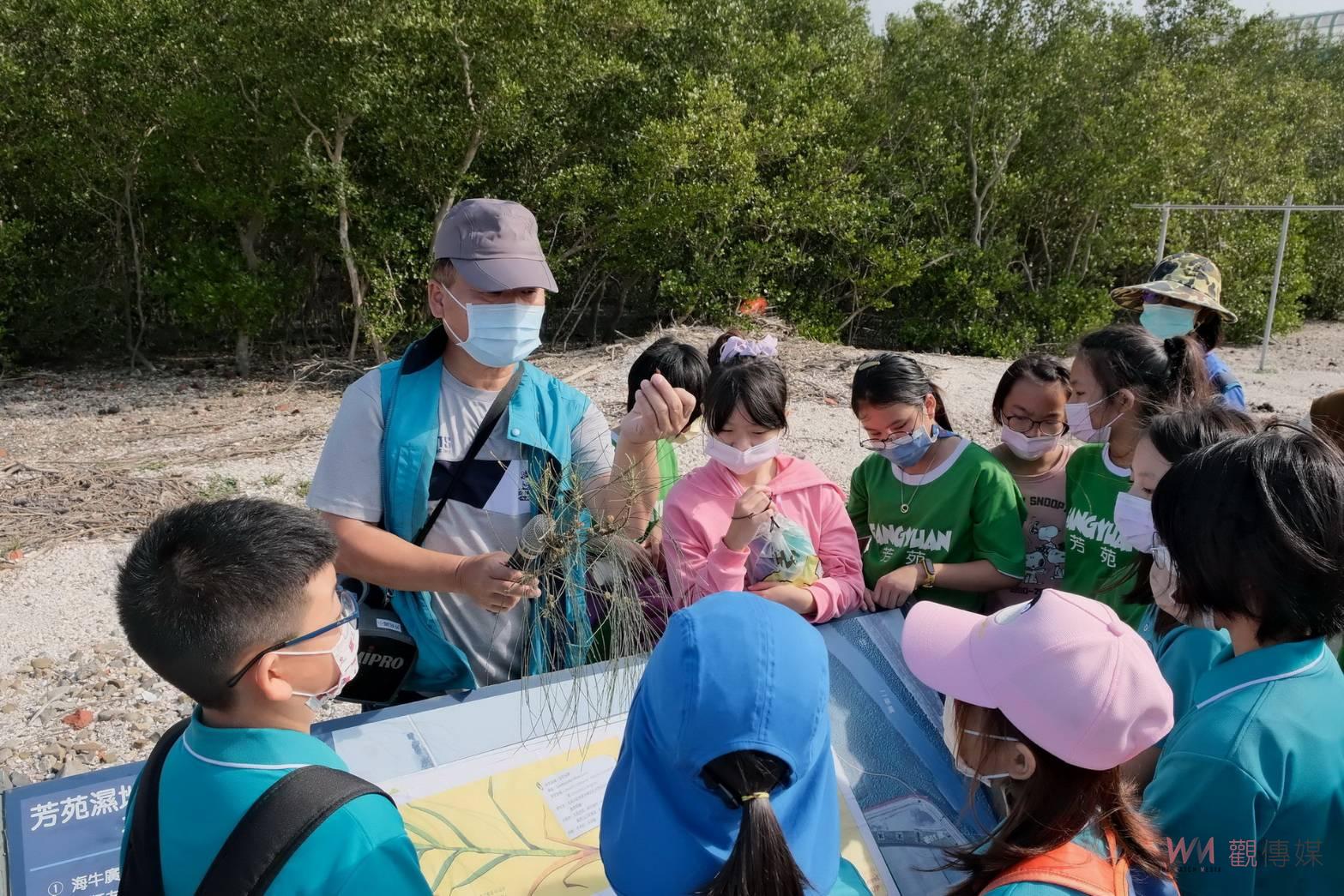 影／共學保安林！「藍碳生態系」認識保安林的生態多樣性 - https://www.watchmedia01.com