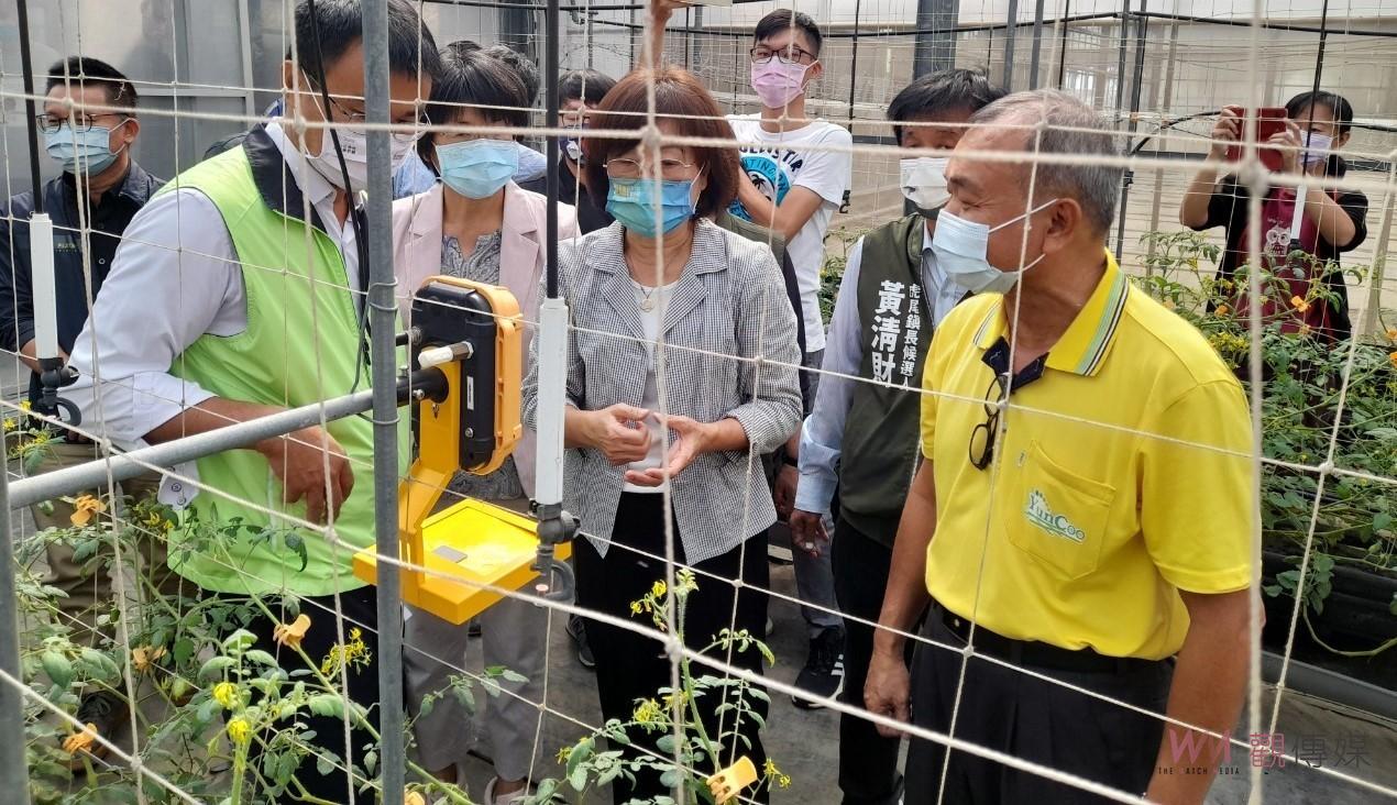 影／打造小果番茄外銷「國家隊」　設20公頃非疫點溫室栽培專區 - https://www.watchmedia01.com