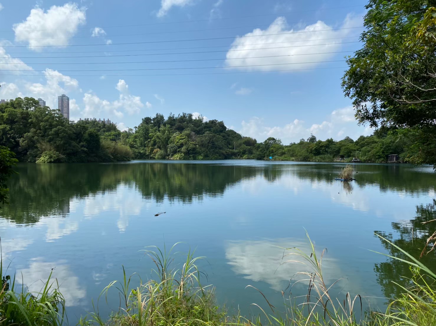 新北建設美麗蛻變　打造美學與安全並重的國際級城市 - https://www.watchmedia01.com