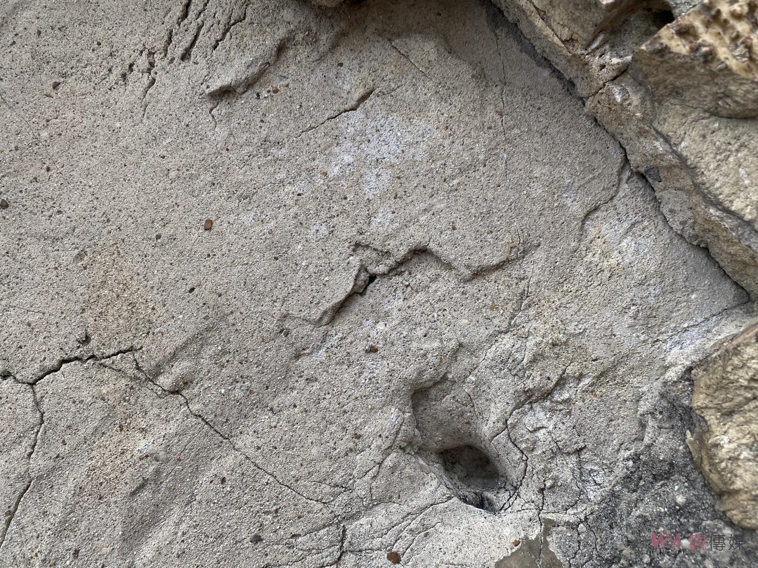 獨家／府城重要地標「降半旗」？！民眾好奇搶拍　特殊城市奇景大有典故 - https://www.watchmedia01.com