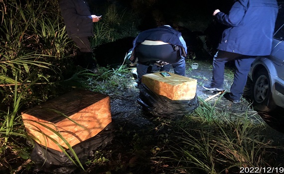 寒流來襲林警不鬆懈，查獲外籍山老鼠盜伐案 - https://www.watchmedia01.com