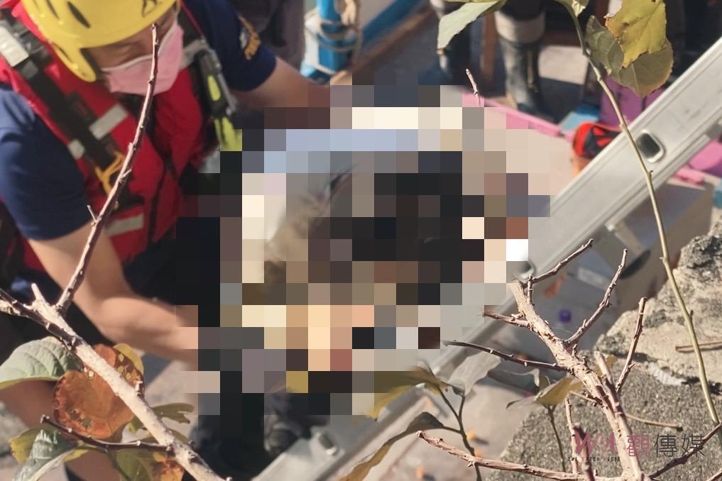高雄15度低溫女子躲《愛河涵管》哭泣　2環保局人員馳赴救起阻憾事 - https://www.watchmedia01.com