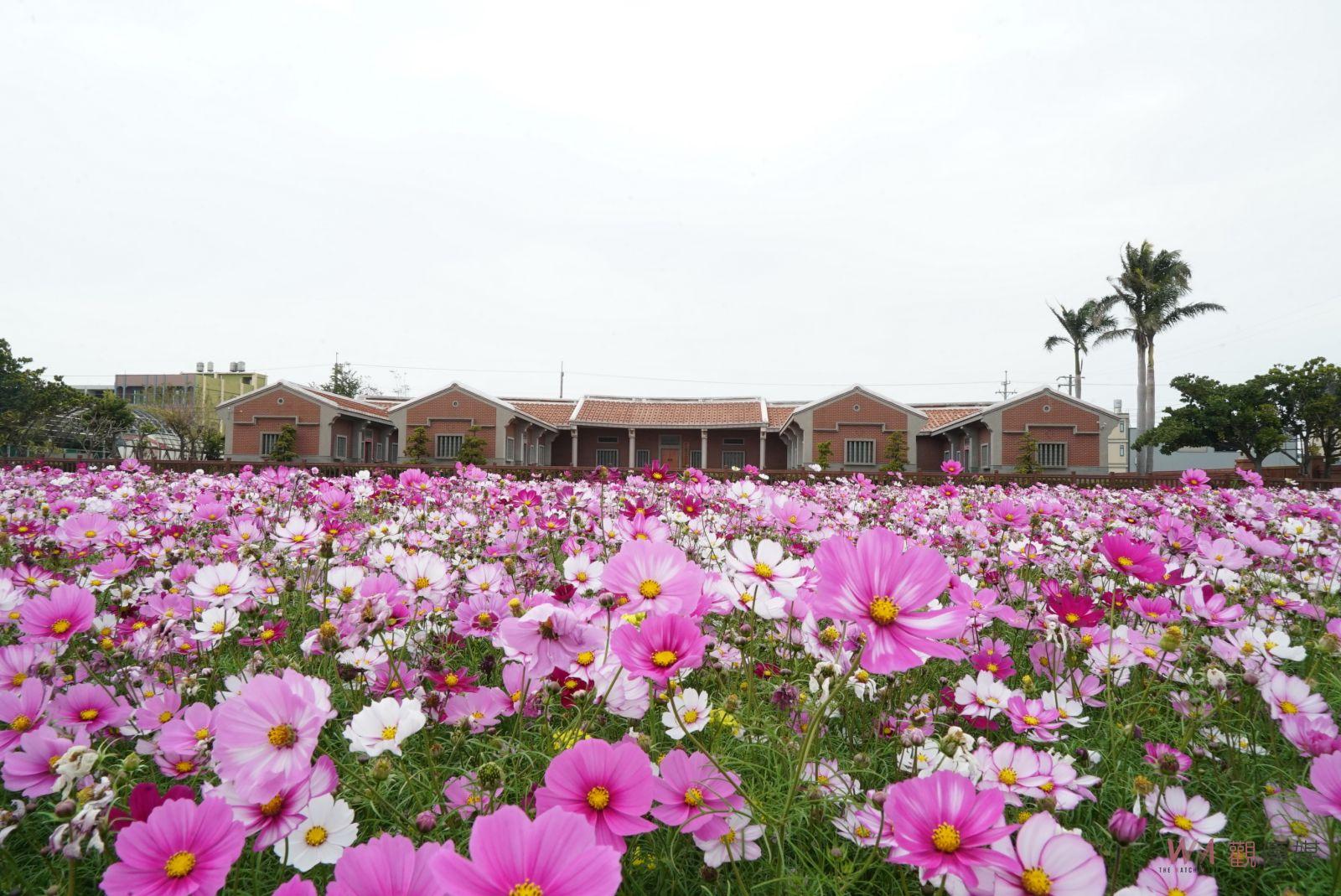 影／好康逗相報！田園控窯「趣」　百花齊放打卡我最讚 - https://www.watchmedia01.com