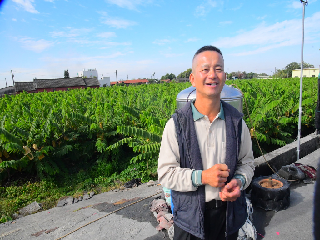 彰化田中果農周建雄栽種高品質鳳梨釋迦 春節採收在地嚐鮮 - https://www.watchmedia01.com