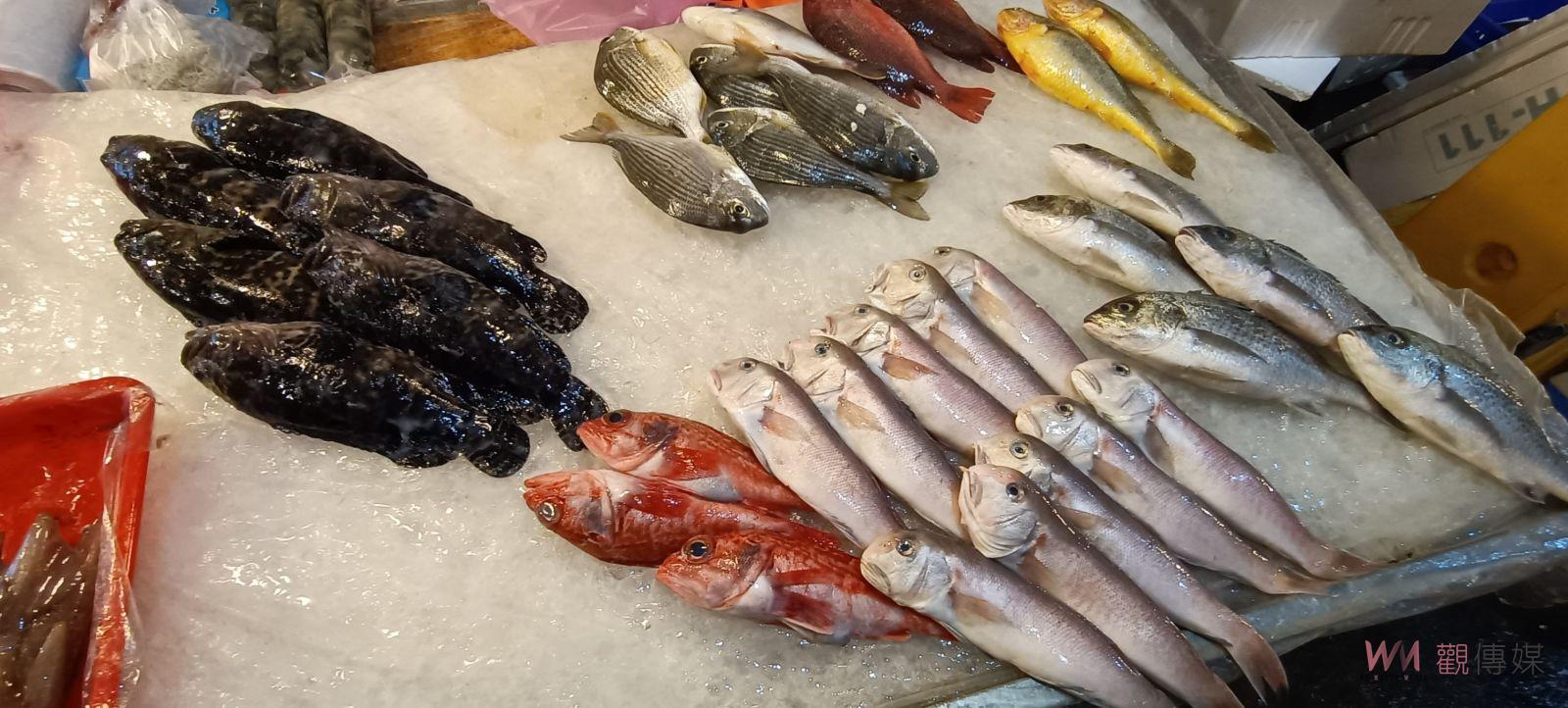 鰺這個字怎麼唸 南方澳四魚故事館帶您一起說魚解字 - https://www.watchmedia01.com