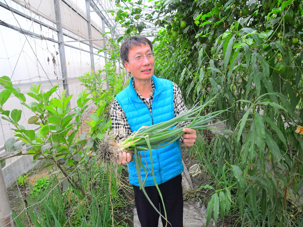 現採現吃的蔬果超市 埤頭鄉綠寶禾農園過年期間開放採蔬果 - https://www.watchmedia01.com