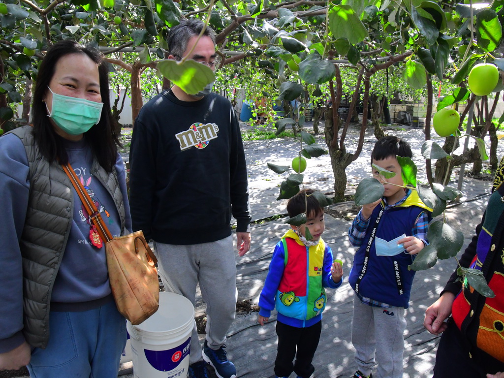 補教大亨斜槓種植雪蜜棗 陳茂寅產出高品質的優鮮果實 - https://www.watchmedia01.com