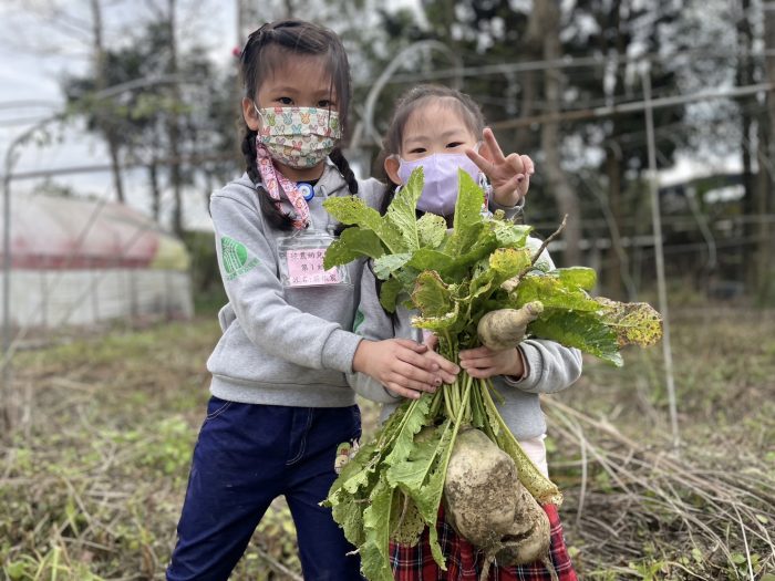 「一起嘿呦、嘿呦拔蘿蔔趣」三峽農會食農教育老幼共學 - https://www.watchmedia01.com