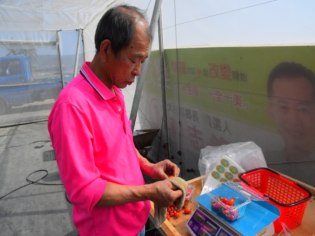 裝潢業者種出高品質玉女小番茄 賴信平改行開啟優鮮水果一片天 - https://www.watchmedia01.com