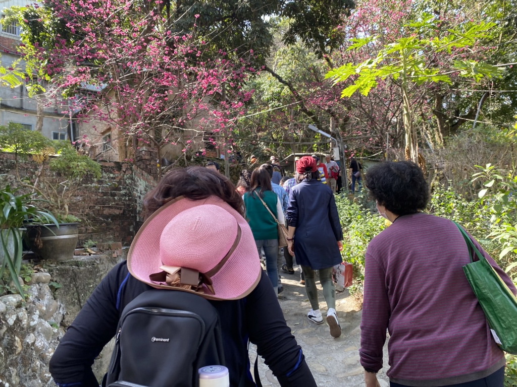 家鄉遊子創意英國茶搭配賞櫻花 員林繽紛櫻花季從湖水里古宅出發 - https://www.watchmedia01.com