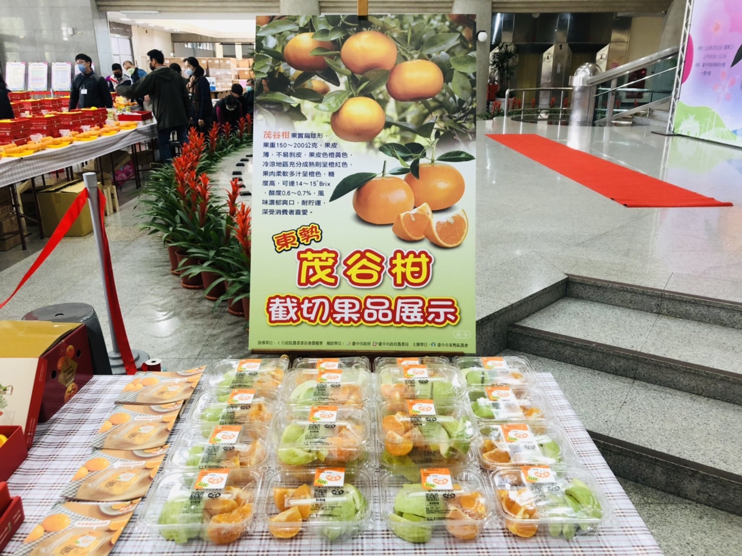中市茂谷柑果品評鑑　石岡區涂銀浪榮登茂谷柑王 - https://www.watchmedia01.com