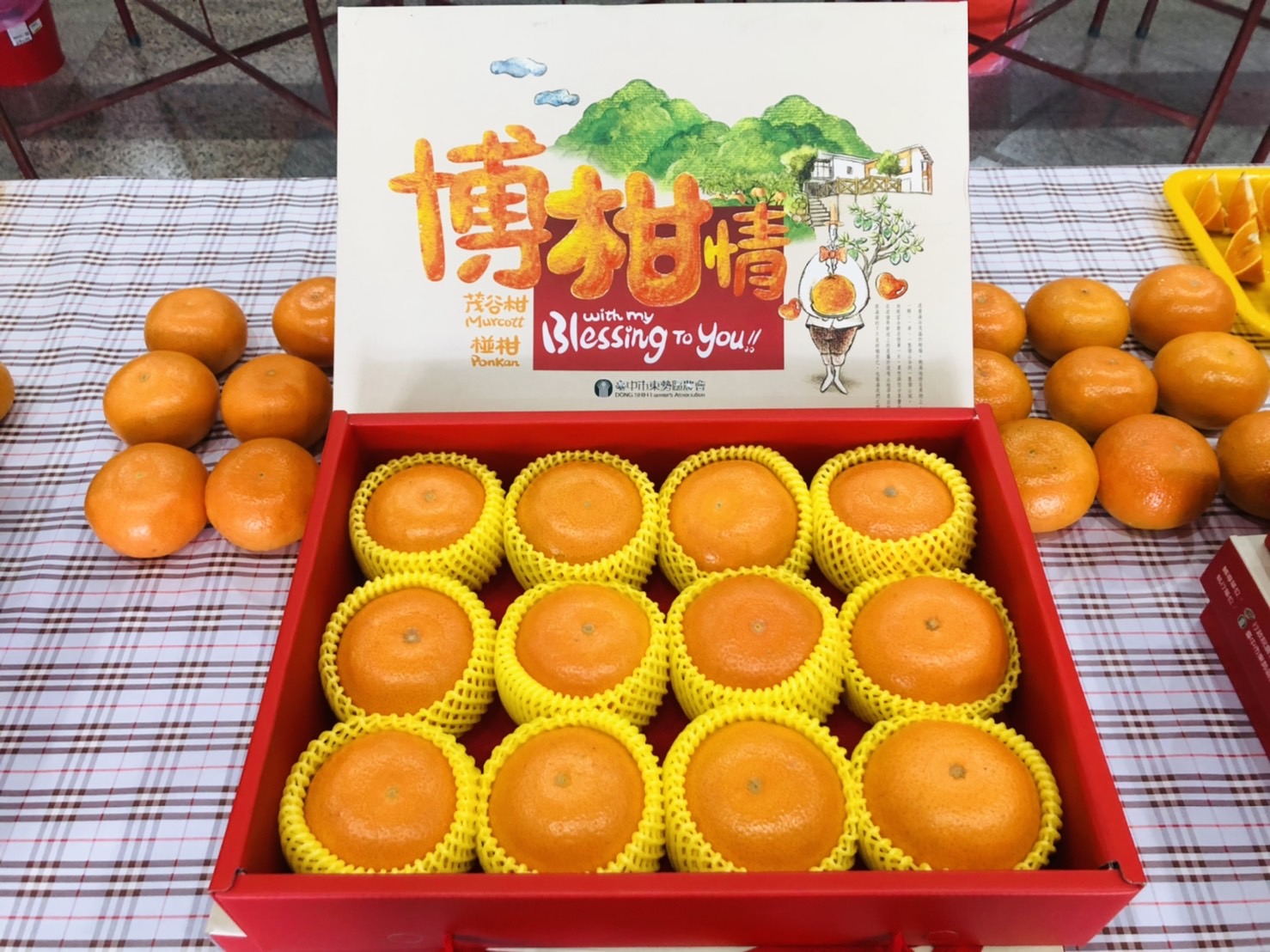 中市茂谷柑果品評鑑　石岡區涂銀浪榮登茂谷柑王 - https://www.watchmedia01.com