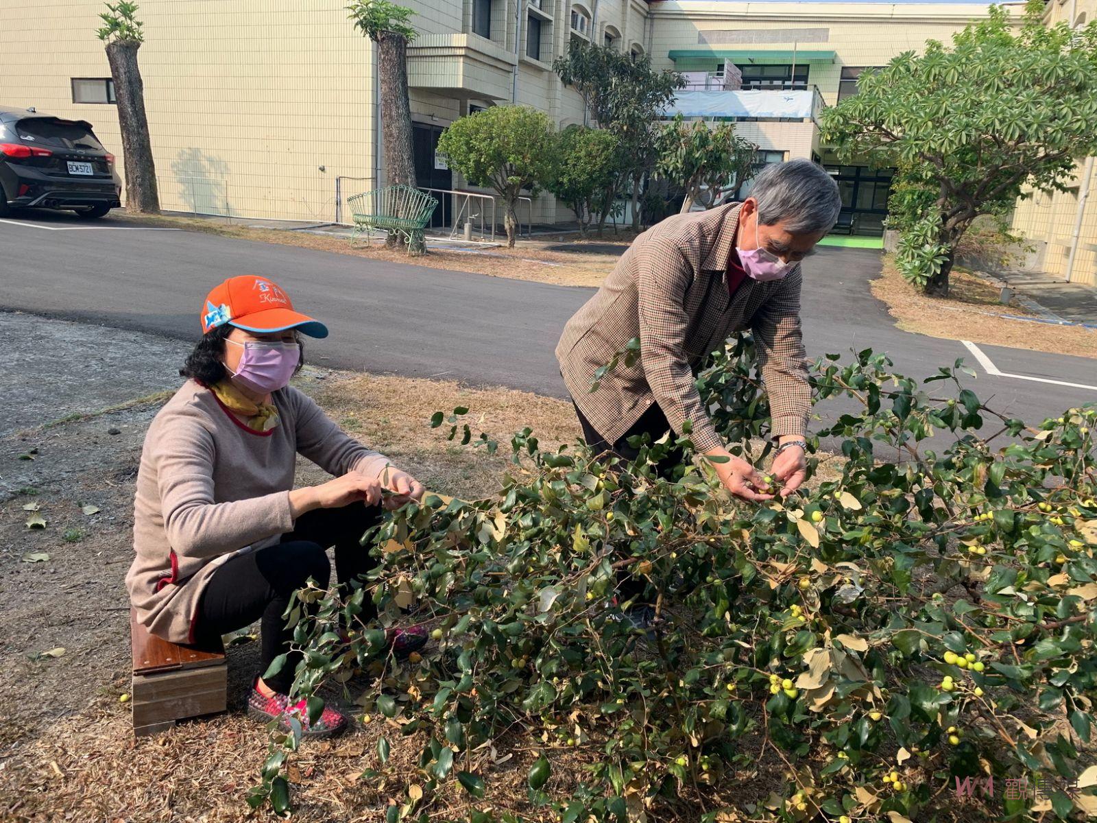 影／棗來饗樂！中彰榮家長輩手作棗子酵素　喚醒長輩美好記憶 - https://www.watchmedia01.com