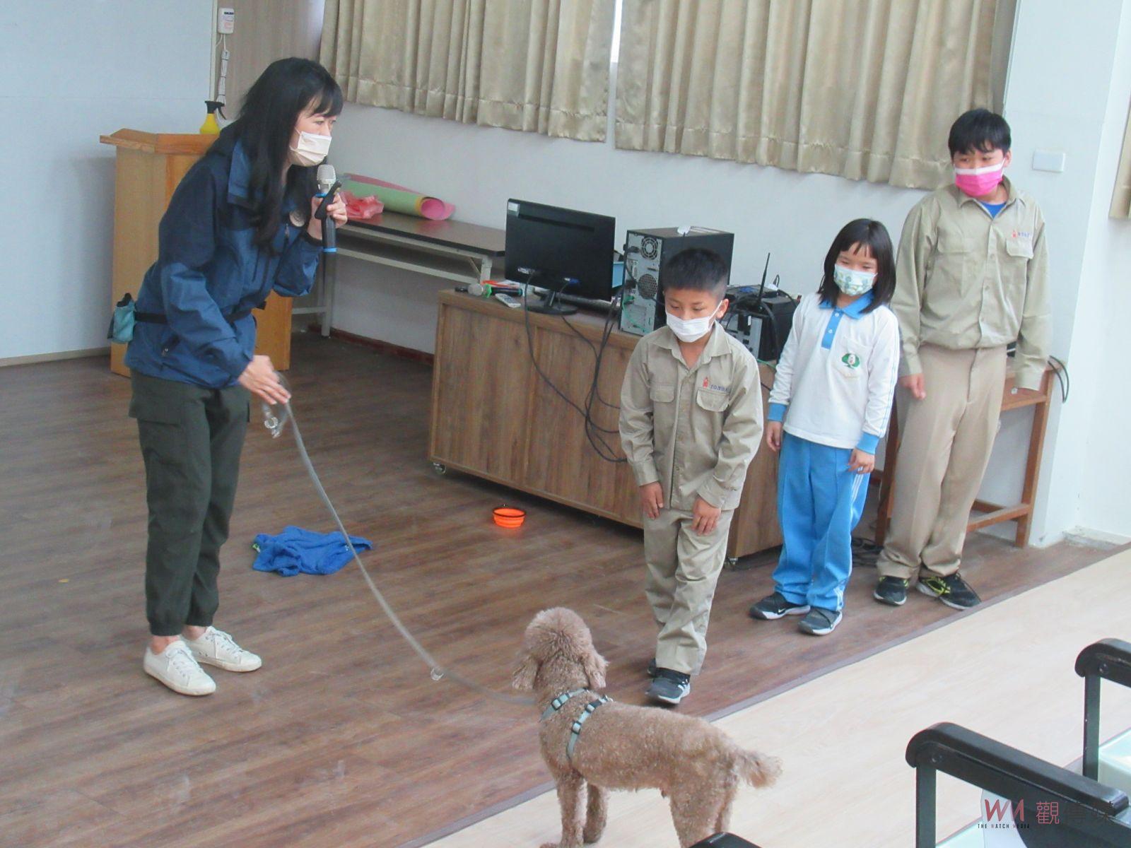 療育犬入校園Cindy 狗老師來大園國小上課囉！安靜卻有力的陪伴 - https://www.watchmedia01.com