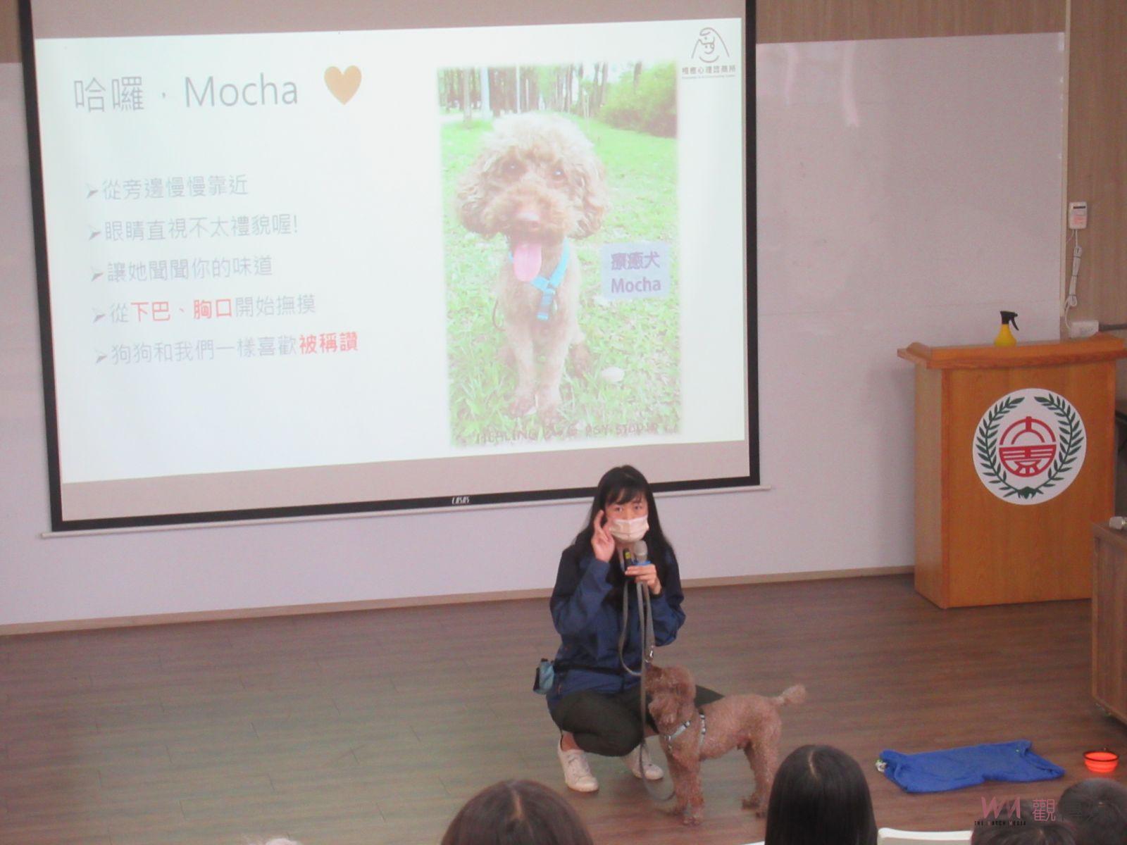 療育犬入校園Cindy 狗老師來大園國小上課囉！安靜卻有力的陪伴 - https://www.watchmedia01.com