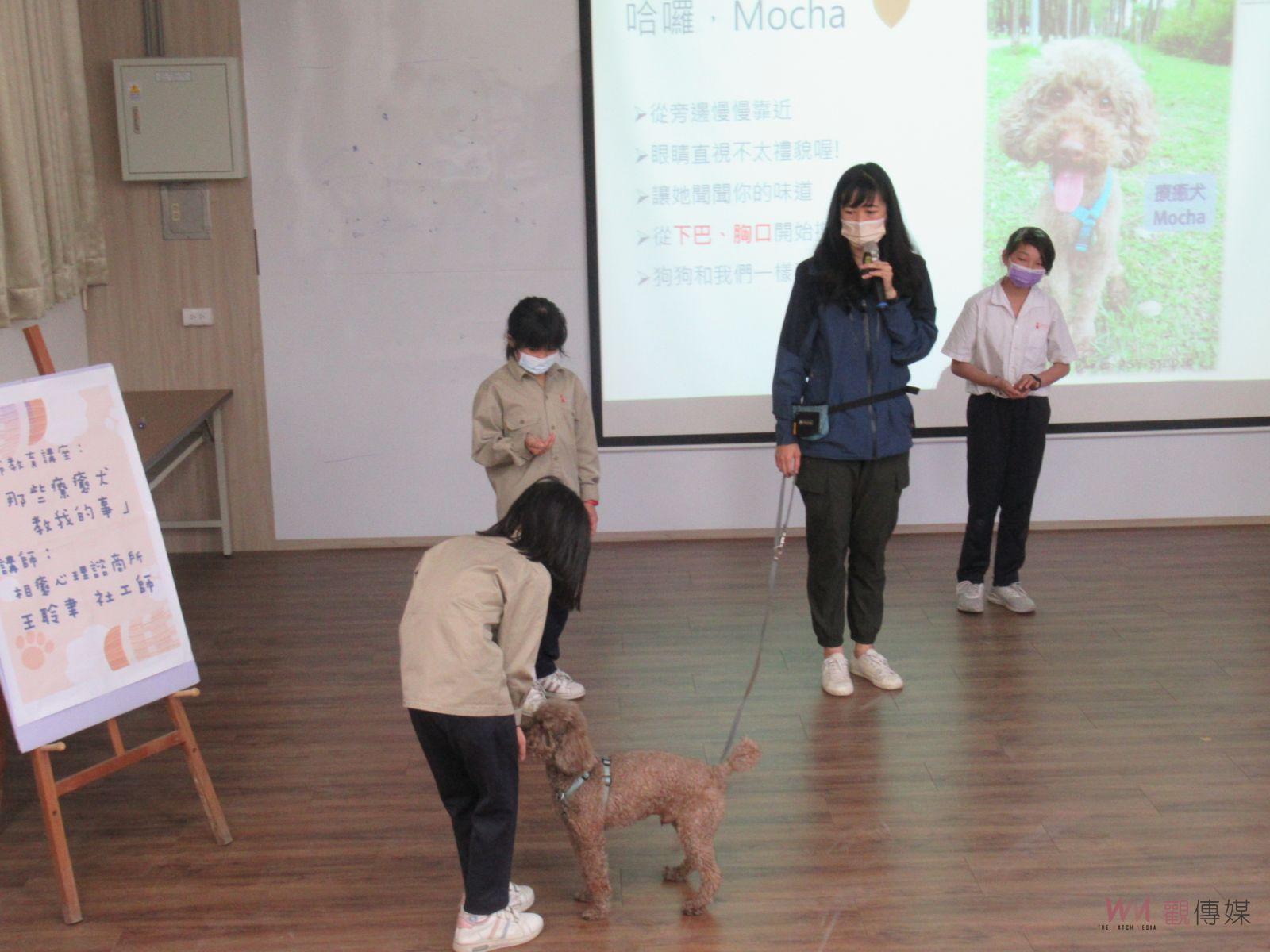 療育犬入校園Cindy 狗老師來大園國小上課囉！安靜卻有力的陪伴 - https://www.watchmedia01.com