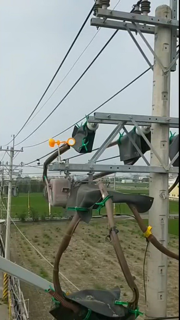 預防鳥巢釀停電　台電彰化區處移除作業無假期 - https://www.watchmedia01.com