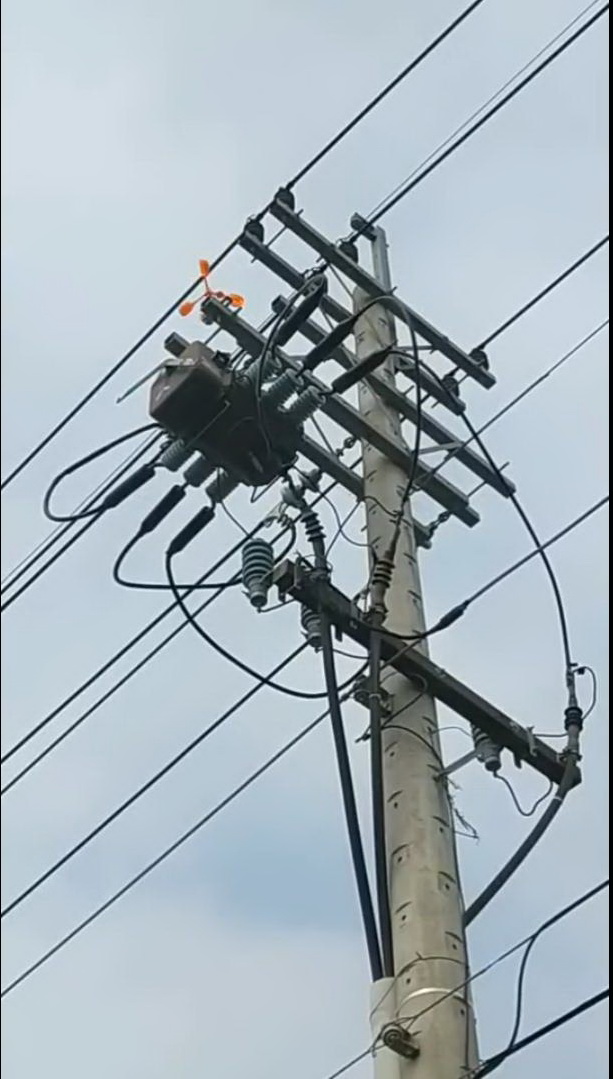 預防鳥巢釀停電　台電彰化區處移除作業無假期 - https://www.watchmedia01.com