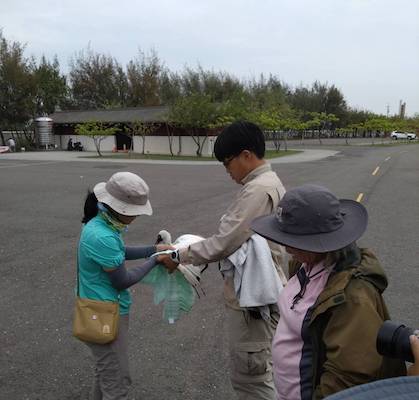 布袋濕地黑面琵鷺疑中毒　嘉縣府啟動應變搶救 - https://www.watchmedia01.com