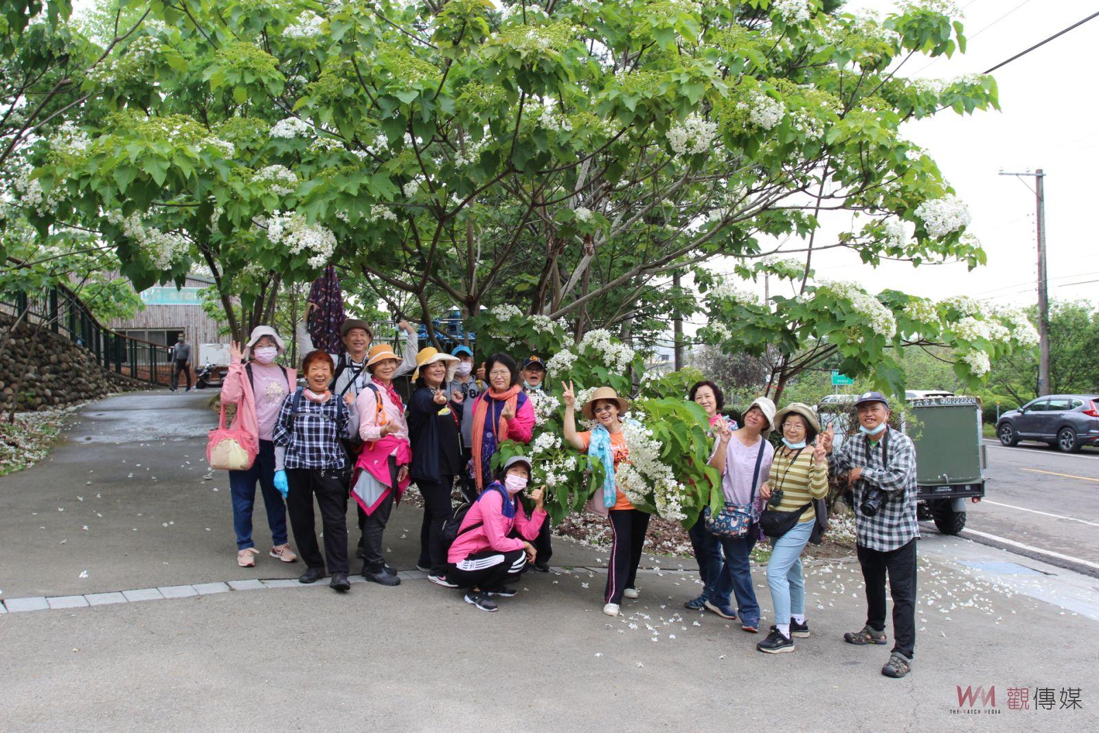 雲林桐花祭桐聚荷苞賞花趣 漫遊山園步道踏花雪 - https://www.watchmedia01.com