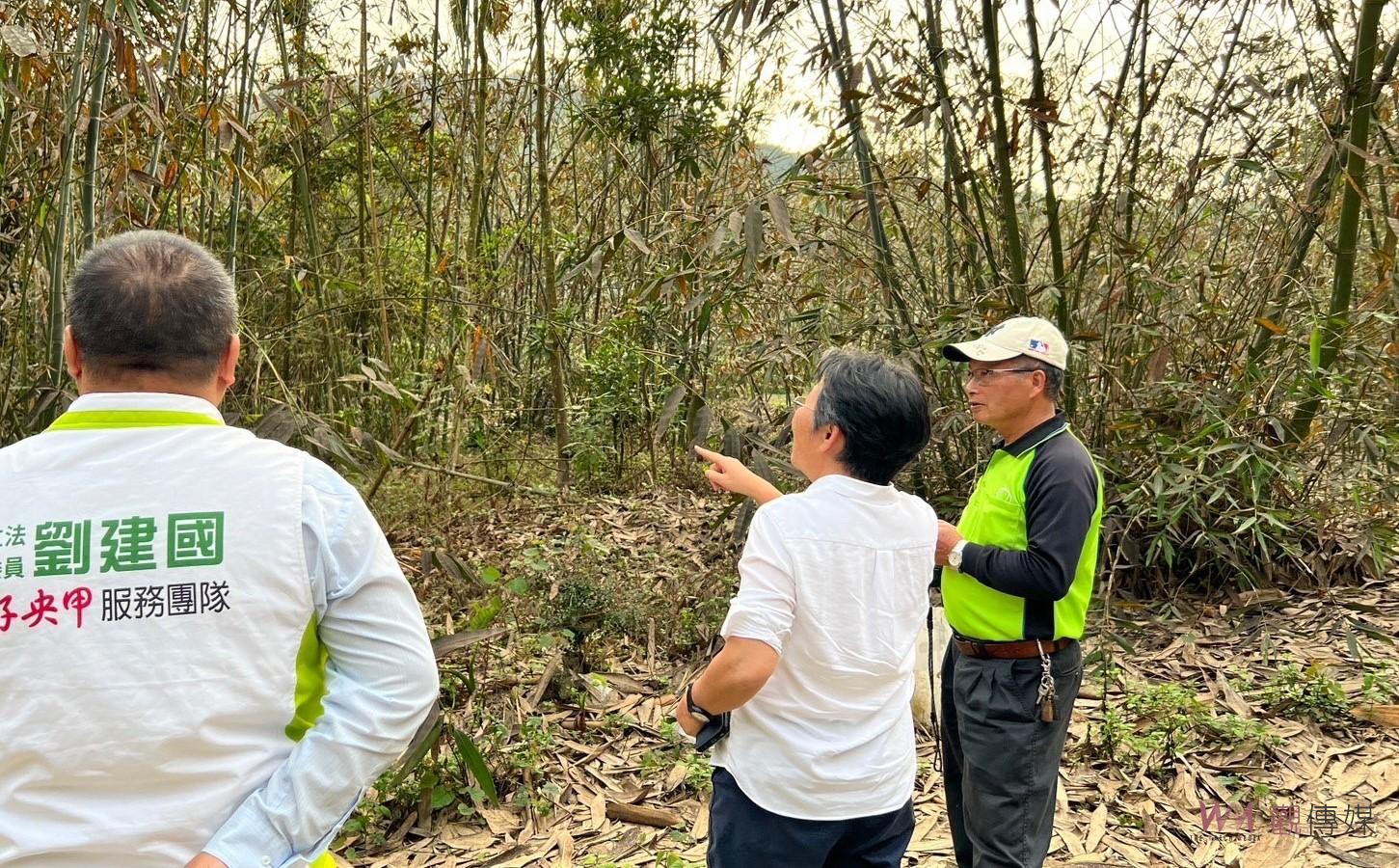 古坑林班地竹筍乾旱枯死　劉建國爭取天然災害救助 - https://www.watchmedia01.com