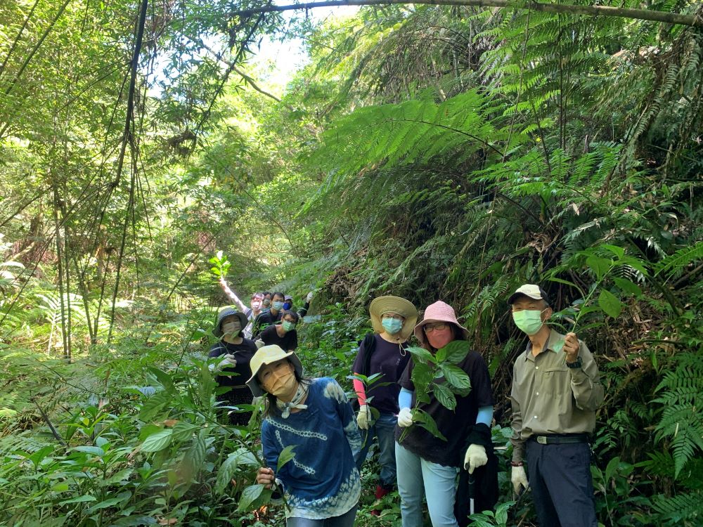 新北藍茶藝術季系列活動報名開跑　漫遊三峽走讀小旅行 - https://www.watchmedia01.com