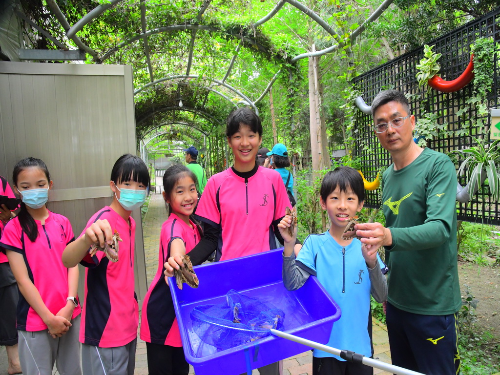 大村鄉花樹銀行野放皇蛾 早生貴子多子多孫要讓世界最大蛾類復育共生 - https://www.watchmedia01.com