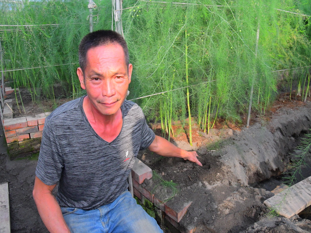 千萬元溫室+東螺溪黑砂土 二林農友楊昌耀夫婦種出超優鮮綠蘆筍 - https://www.watchmedia01.com
