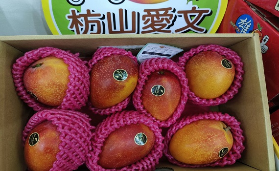 枋山愛文芒果i郵購 屏縣與中華郵政拓展虛、實通路資源 - https://www.watchmedia01.com