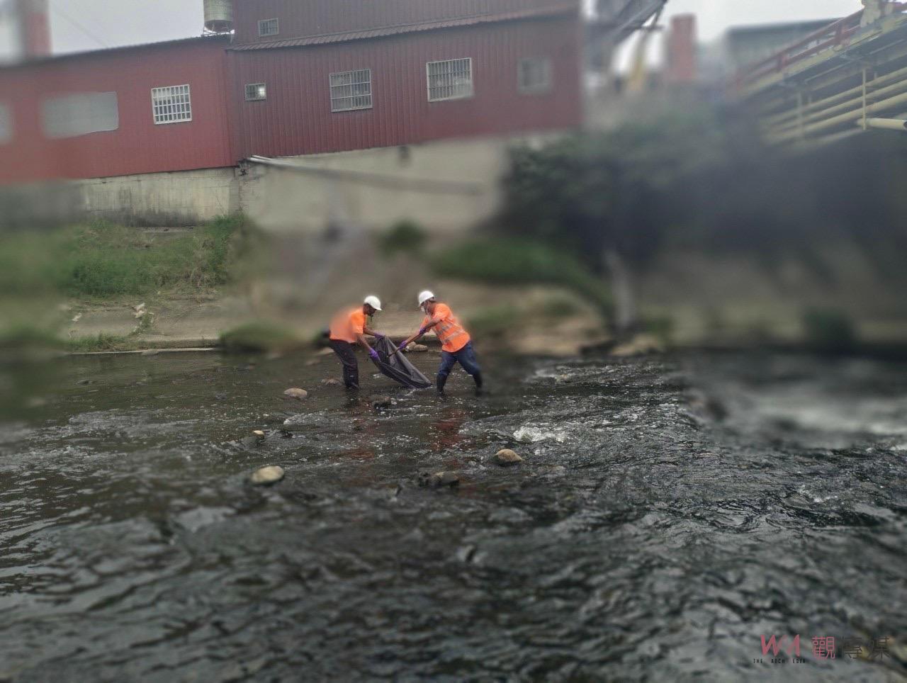 桃園平鎮老街溪魚群暴斃飄濃濃惡臭 環保局：天氣炎熱水中溶氧降低引起 - https://www.watchmedia01.com
