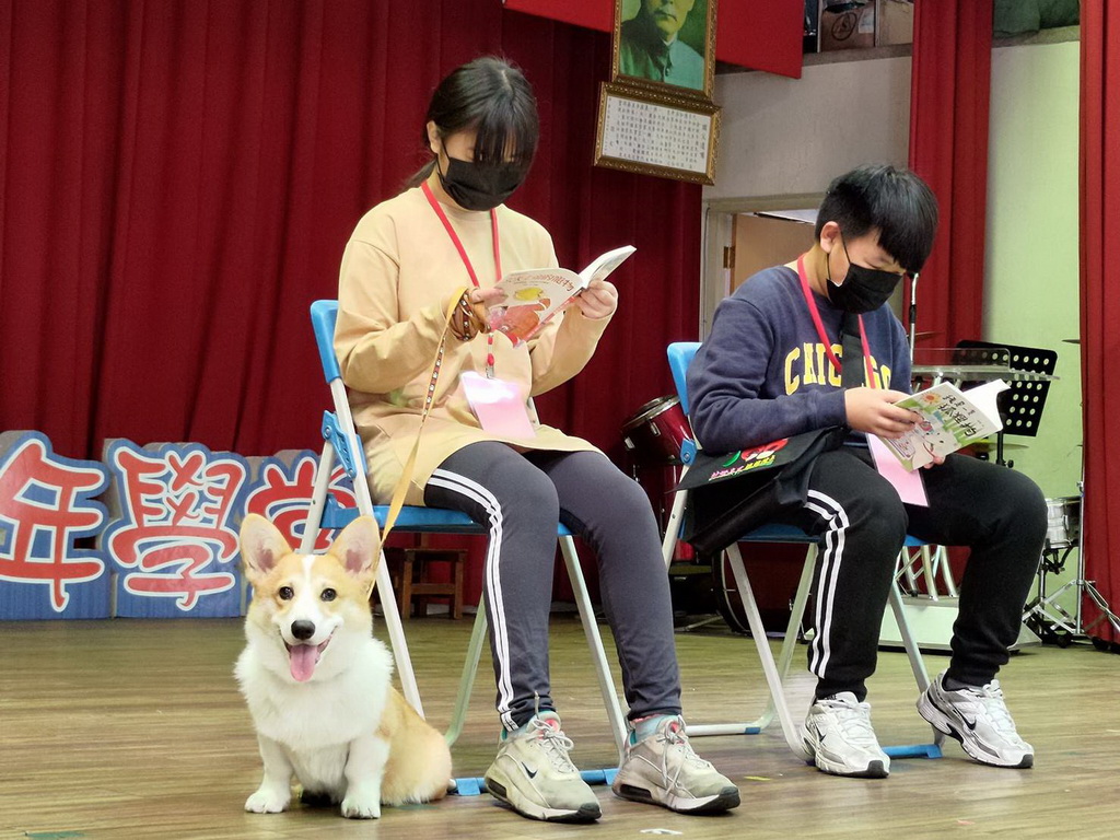 村上國小校犬樂樂進駐 學童扎根生命教育學得與寵物共處 - https://www.watchmedia01.com