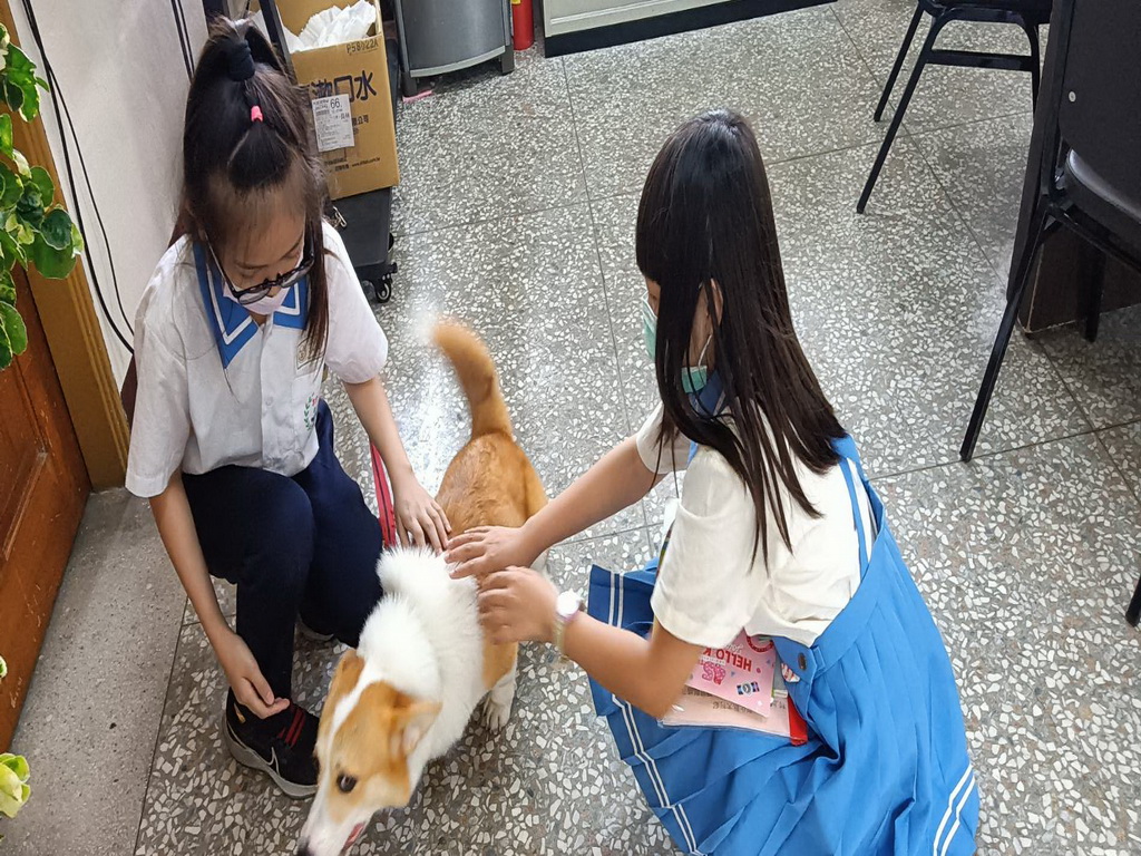 村上國小校犬樂樂進駐 學童扎根生命教育學得與寵物共處 - https://www.watchmedia01.com