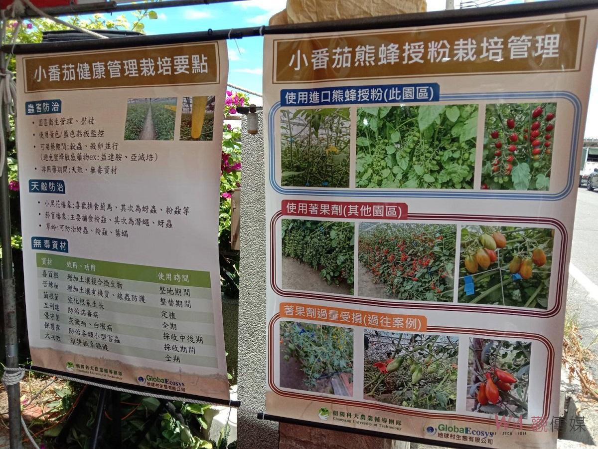 台塑企業與朝陽科大農業輔導團隊合作　小番茄利用熊蜂管理增加品質及產量 - https://www.watchmedia01.com