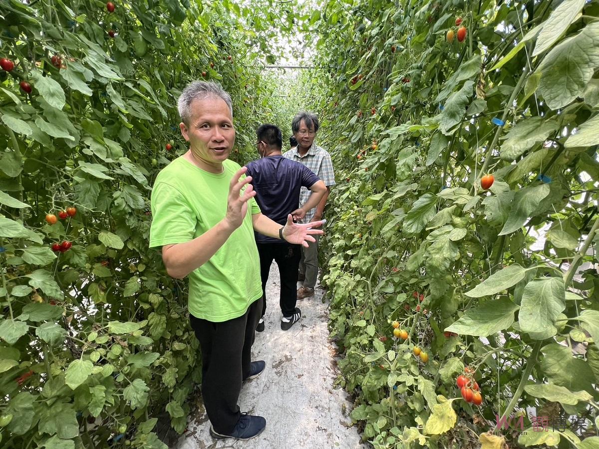 台塑企業與朝陽科大農業輔導團隊合作　小番茄利用熊蜂管理增加品質及產量 - https://www.watchmedia01.com
