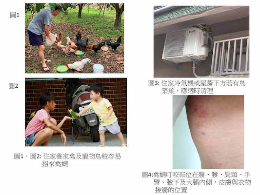 愛好養寵物鳥注意了　禽蟎會讓你癢到花容失色 - https://www.watchmedia01.com